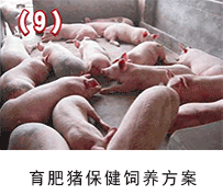 �����i������B(y��ng)����